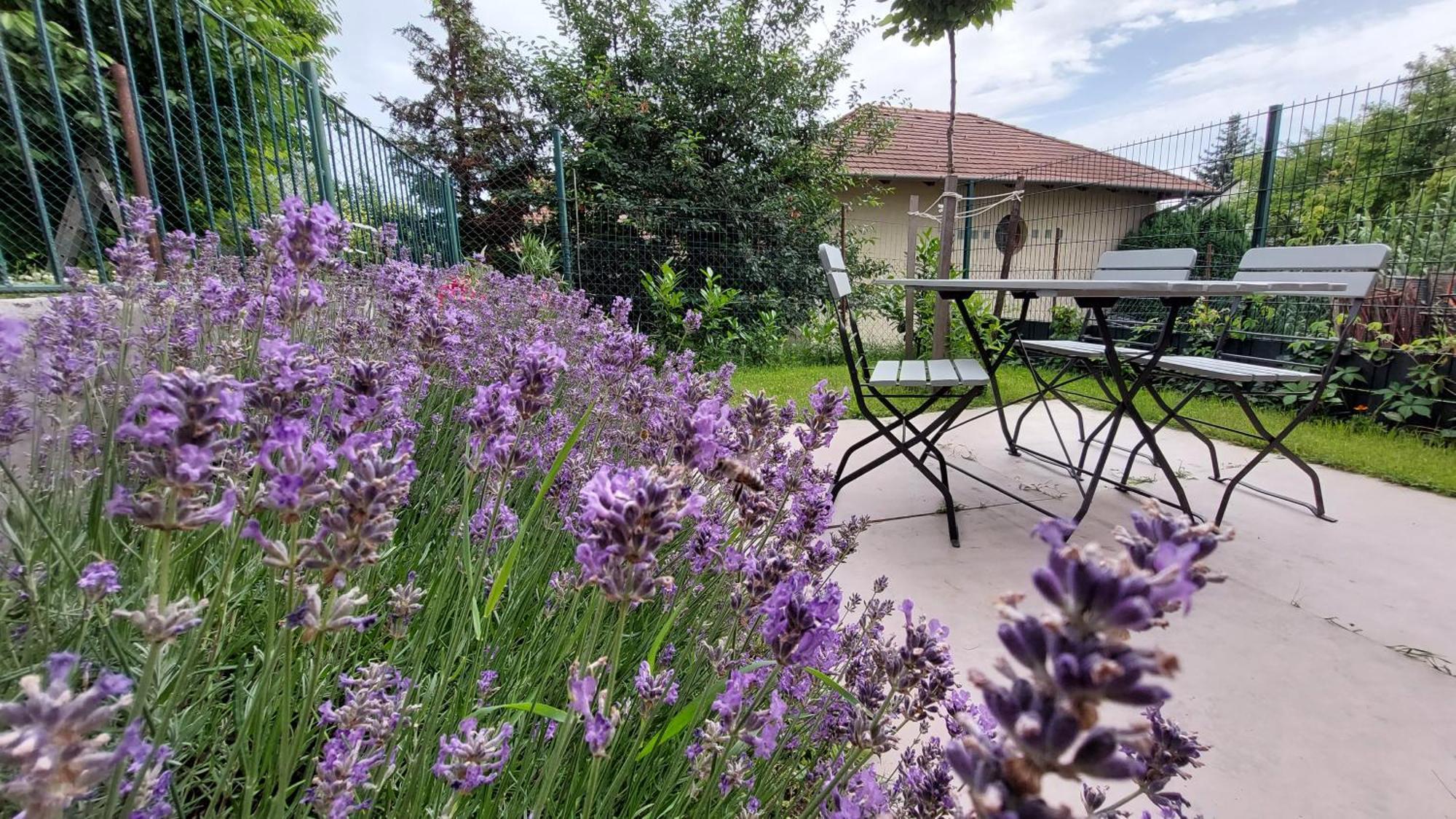 Miniszilva Apartman บาลาโตนัลมาดี ภายนอก รูปภาพ